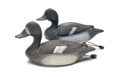 Rigmate pair of bluebills