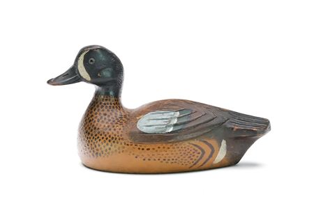Bluewing Teal