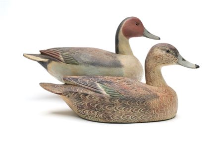 Pair of Pintails