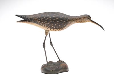 Early decorative walking curlew