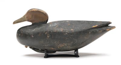 Important black duck by Eli Doughty - Auction record, sale price, and art valuation. Compare with similar artists and explore comparable artworks.