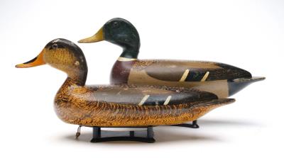 Rigmate pair of mallards