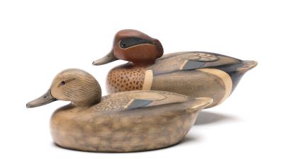 Pair of greenwing teal