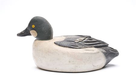 Goldeneye