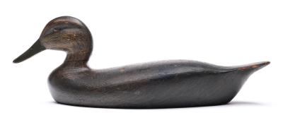 Black duck by Sam Denny - Auction record, sale price, and art valuation. Compare with similar artists and explore comparable artworks.