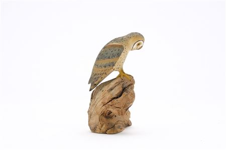 Miniature Barn Owl