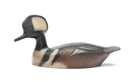 Merganser