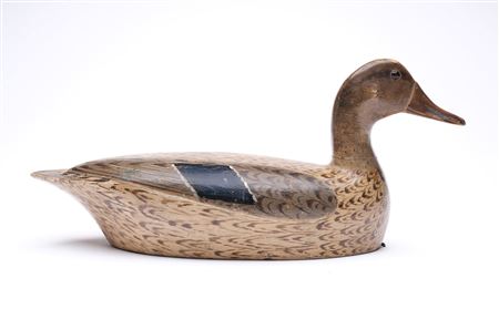 Mallard Hen from the Jolley Rig