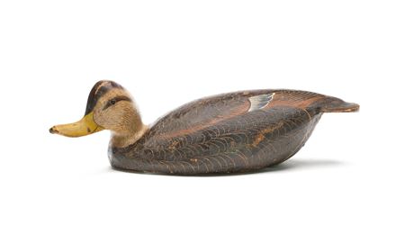 Turned Head Black Duck by Ward Brothers - Auction record, sale price, and art valuation. Compare with similar artists and explore comparable artworks.