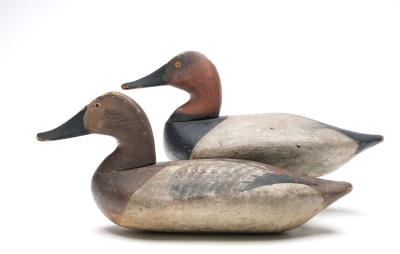 Rigmate pair of canvasbacks