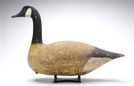 Canada Goose