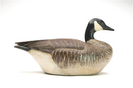Canada Goose
