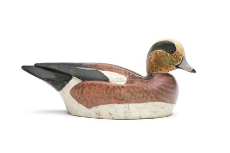 Widgeon