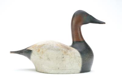 Canvasback by Joseph Sieger - Auction record, sale price, and art valuation. Compare with similar artists and explore comparable artworks.