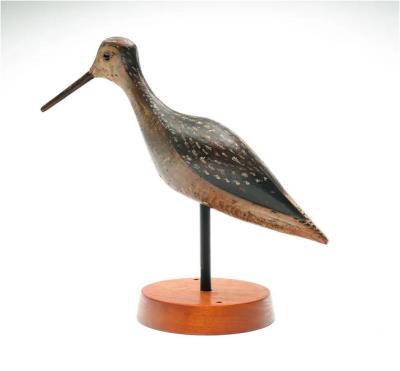Willet