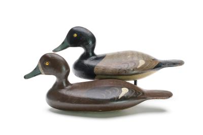 Rigmate Pair of Bluebills