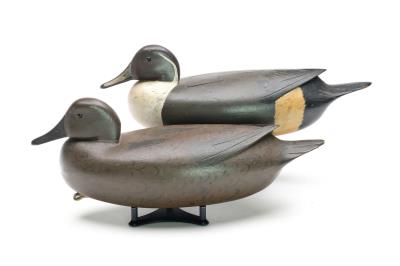 Rigmate pair of pintails by William Quinn - Auction record, sale price, and art valuation. Compare with similar artists and explore comparable artworks.