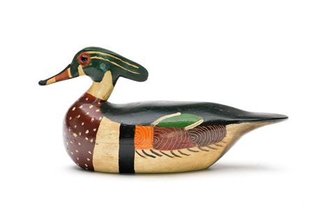 Rare Working Wood Duck