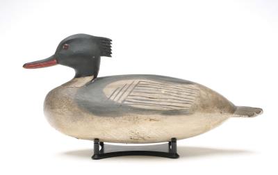 Red-breasted Merganser