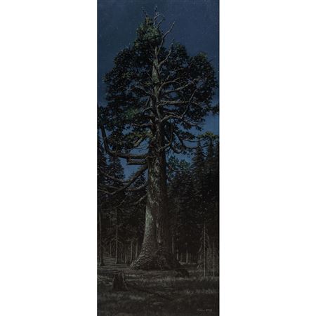 "Moonlight in the Land of Giants, Grizzly Sequoia, Yosemite," 2019