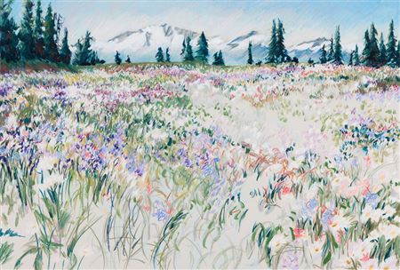 Wildflowers in a Field