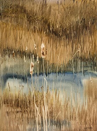 Cattails (#00503)