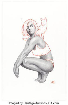 Frank Cho Catwoman #71 Variant Cover Original Art (DC, 2025)....