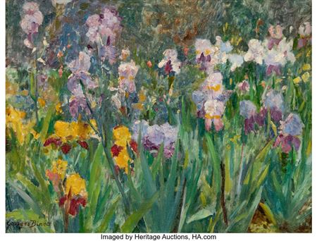 Les Iris