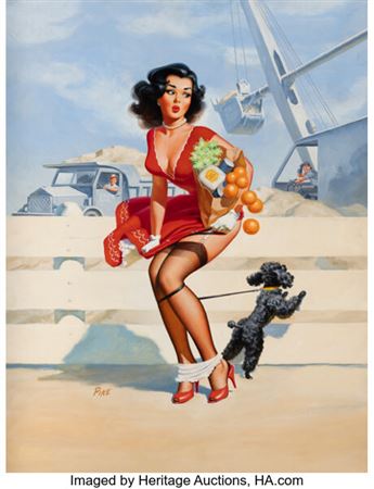 Dog Tied
