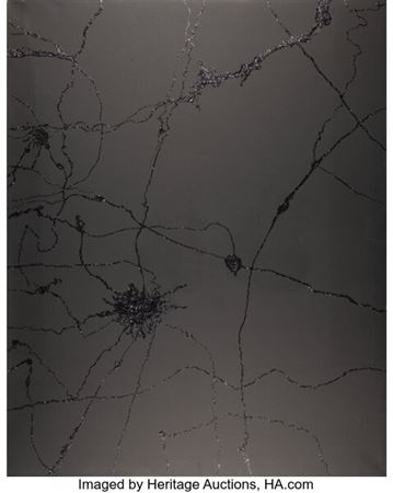 Nervous System Impulse 016 , 2022