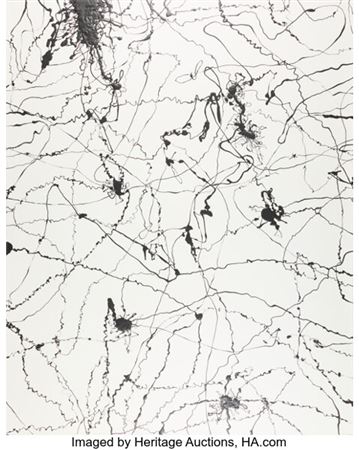 Nervous System Impulse 017 , 2022