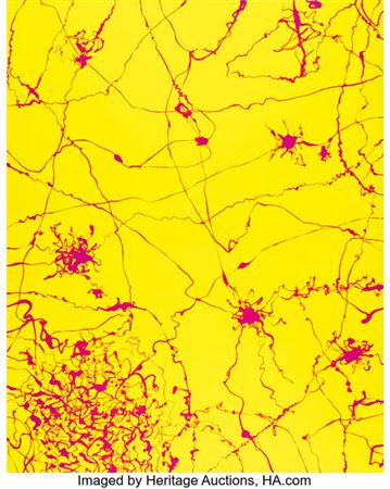 Nervous System Impulse 019, 2022