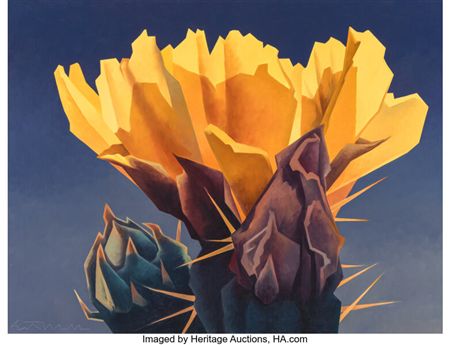 Cactus Bloom