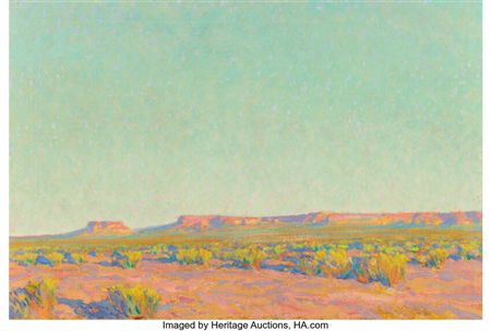 Arizona Desert
