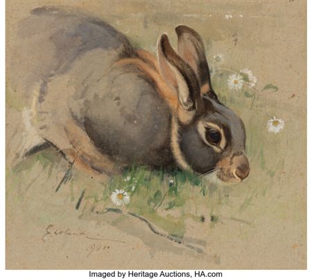 A Belgian Hare