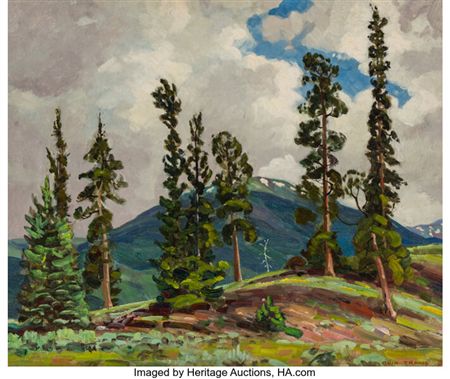 Pin Trees and Clouds-Colorado