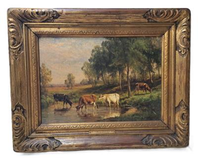 Meadow Hillside Cattle Landscape Cows Watering Early Sunset Late Sunrise