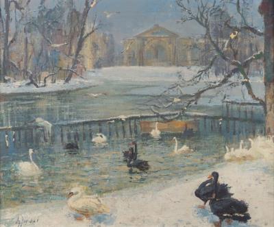 Swans in the Winter Park