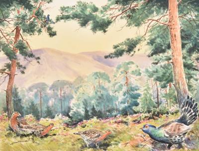 Capercaillie in the Cairngorms, a Lek in a Clearing by Simon Trinder - Auction record, sale price, and art valuation. Compare with similar artists and explore comparable artworks.
