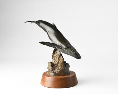 Bronze Humpback Whale