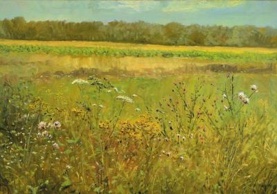 Wild herbs at the edge of the field