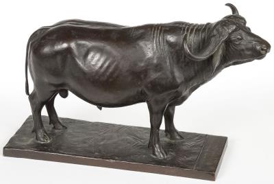 African Buffalo