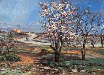 Spring Landscape With Cherry Blossoms