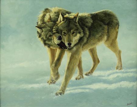 Afternoon Play (Wolves)