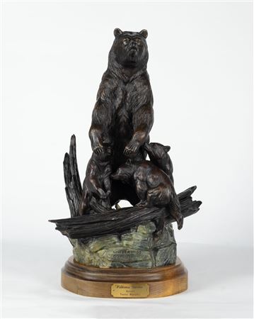 Wilderness Guardian, 1987