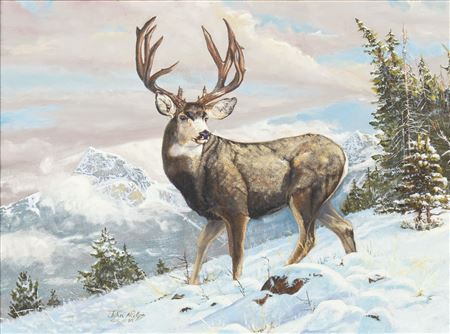 Shoshone Mountain - Mule Deer, 1989