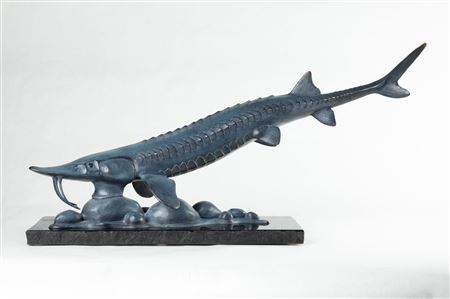 Sturgeon