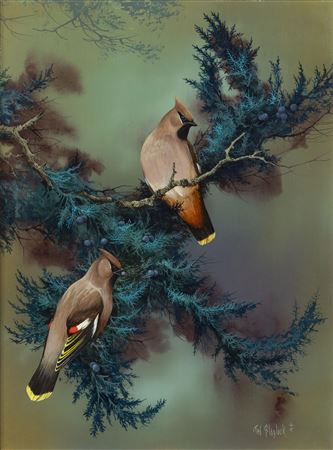 Cedar Waxwings