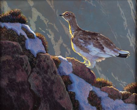 Rock Chicken, 2006