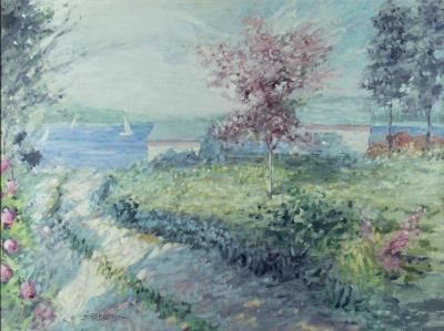 Country Road in Summer
